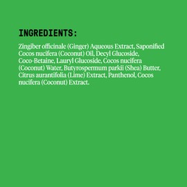 Alaffia EveryDay Coconut Shampoo, Hydrating and Deep Cleansing for Normal to Dry Hair. Made with Fair Trade Coconut Oil and Ginger, Cruelty Free, No Parabens, Vegan, Coconut Lime 32 Fl Oz