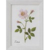 LECIEN 542006 Embroidery Kit, Kazuko Aoki 12 Months Botanical Book,