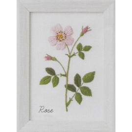 LECIEN 542006 Embroidery Kit, Kazuko Aoki 12 Months Botanical Book, Rose", Cosmo (Cosmo) 3.9 x 5.3 inches (10 x 13.6 cm)