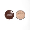 COVERGIRL Professional Loose Finishing Powder, Translucent Light Tone, Sets Makeup,
