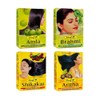 Hesh Herbal Amla Powder 100G, Brahmi Powder 100G, Shikakai Powder
