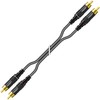 Summer Cable 2.5 m RCA Cable SC Onyx 2025 MKII