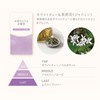 Kameyama Incense Sticks Like Incense, White Tea & Marika Approx.