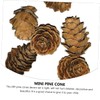 CAXUSD 50 Pcs Small Artificial Pine Cones Decorative Natural Pine