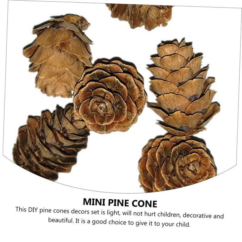 CAXUSD 50 Pcs Small Artificial Pine Cones Decorative Natural Pine