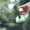 XXXFLOWER Glass Plant Mister Spray Bottle for Indoor Plant Spritzer