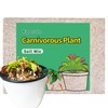 Kapecute Carnivorous Plant Soil Mix 8 Qts, Include Perlite and