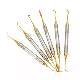 NOMI BROTHERS Gold 6-Piece Restorative Dental Tool Kit for Composite Fillings