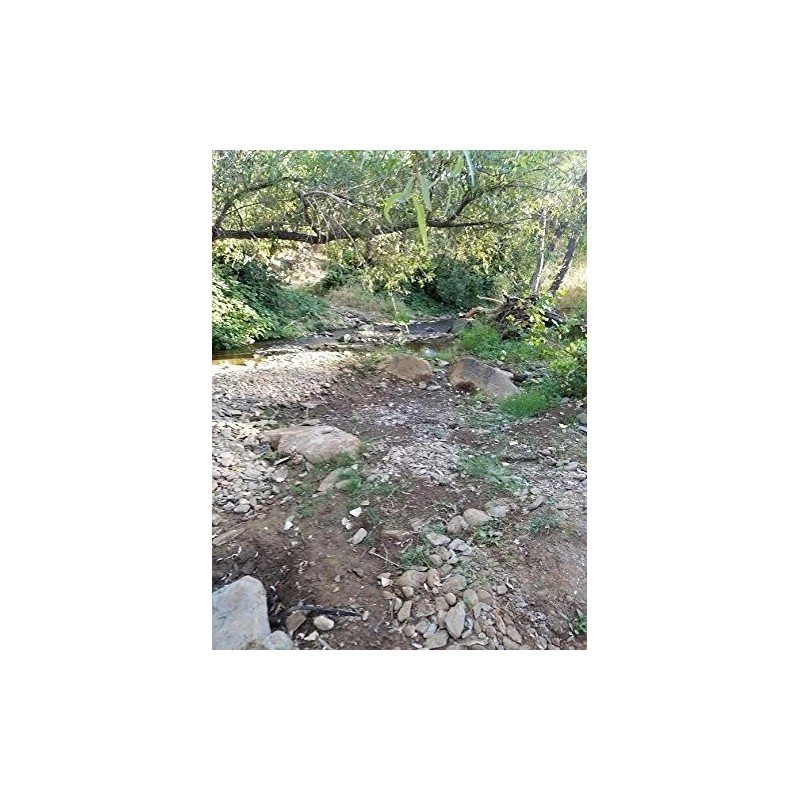 Gold Paydirt Bag Gold & Silver Fines Pickers Nuggets Concentrates 2