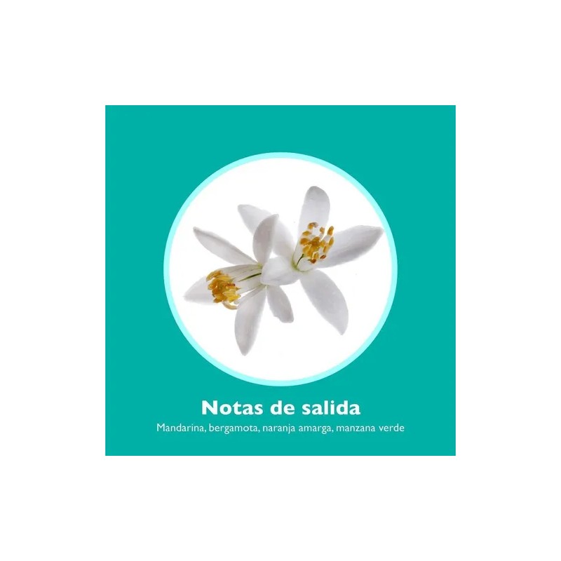 Perfume Forever Green United Dreams Benetton para ella, 80 ml