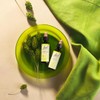 Bach Original Flower Remedies (Clematis) Live The Day, Be Focused,