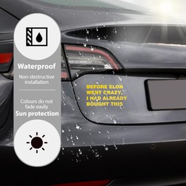 MaNeaz Interessant Auto Aufkleber UV-Aufkleber | "BEFORE ELON WENT CRAZY,I HAD ALREADY BOUGHT THIS" | Wasserdicht und kratzfest für empfindliche Auto-Lacke ca. 11 x 5,6 cm(Gold)