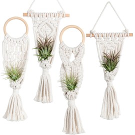 Melphoe 4 Pack Air Plants Holders Stand Air Fern Macrame Plant Hanger Indoor Hanging Planter Basket for Tillandsias Display, Boho Home Decoration Gift Idea