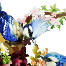 CUTE POPUP - Blue Jay Couple Pop Up Card, Anniversary Card, Valentine Card, Christmas Card, Thank You Cards, Thinking of You Card - Birthday Card for Girlfriend, Boyfriend on Every Occasion