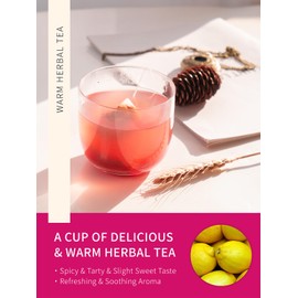 TeeLux Lemon Ginger Hibiscus Tea, Refreshing Lemongrass With Spicy Ginger, Tart Hibiscus, Sweet Licorice, Caffeine Free, 50 Count