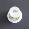 Arita Ware KA-200 Celand Glass, Fashionable Pot, Birthday Flowers, November,
