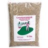 Canada Green Grass Lawn Seed - Grows Healthy Rich Green
