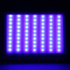 Red Blue Light Therapy Acne Removal Beauty Instrument Photon Skin