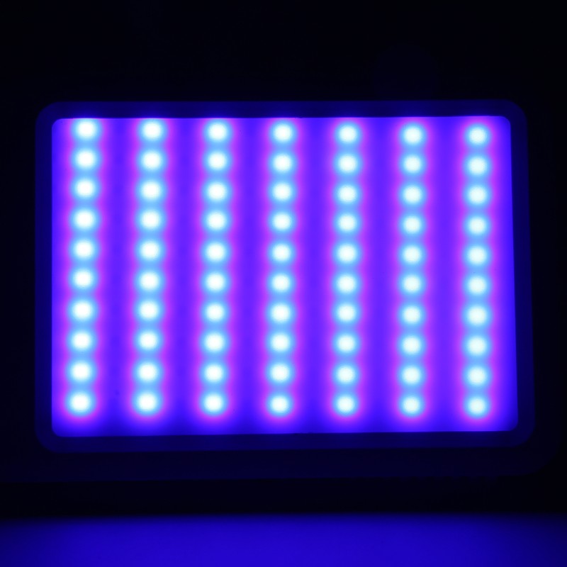 Red Blue Light Therapy Acne Removal Beauty Instrument Photon Skin
