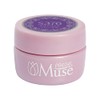 PREGEL Muse PGU-S376 Color Gel, Clear Rich Purple, 0.1 oz