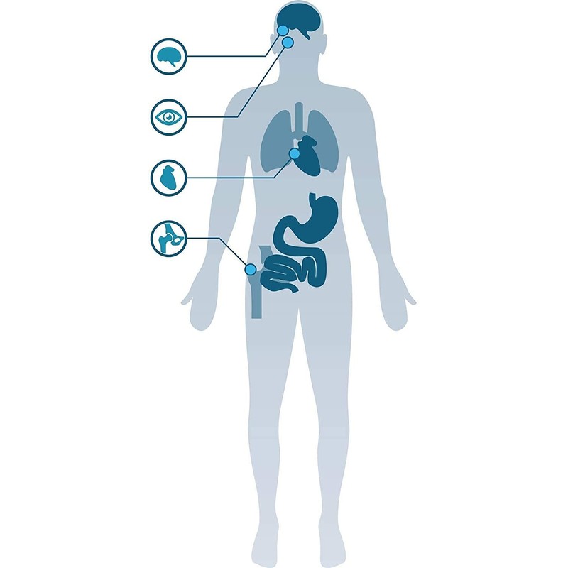 ForteVital Krill Oil (60 Capsules)