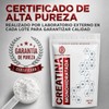 Bonsantelabs Creatina Monohidratada En Polvo ultra fino