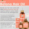 Difeel Batana Premium Hair Oil 2.5 Ounce (3-PACK) - Batana