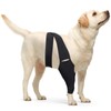 Dog Knee Brace for Torn Hind Leg or Back Leg,