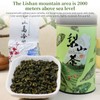 XIXICHA Lishan Oolong Tea Taiwan High Mountain Tea Oolong Tea