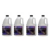 CHAUVET DJ Quick Dissipating Fog Fluid (4 Gallon)