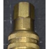 Foster FM3003 - 1/4" Female NPT x 1/4" Quick Coupler