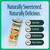 Zevia Zero Sugar Tea, Earl Grey Tea Blood Orange, 12