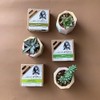 Jabón Caprina Desinflamatorio Sábila Piel Sensible 90g