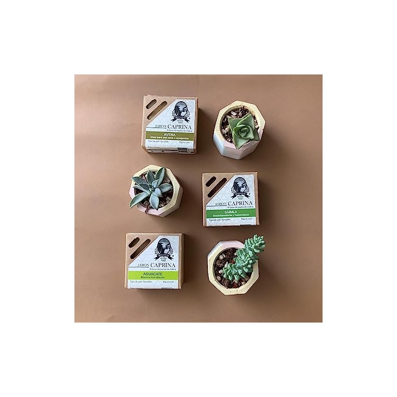 Jabón Caprina Desinflamatorio Sábila Piel Sensible 90g