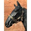 Argentina Polo Leather Horse Headcollar Halter, Embroidered, Rose Pink /Green