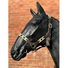 Argentina Polo Leather Horse Headcollar Halter, Embroidered, Rose Pink /Green (Full)