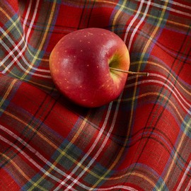 Solino Home Christmas Tablecloth 156" L x 60" W Inch – 100% Pure Linen Red Classic Tartan Plaid Tablecloth – Machine Washable Tablecloth for Indoor, Outdoor Decor