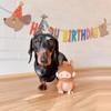 KARAQY Dachshund Dog Birthday Garland - Long Sausage Wiener Dog