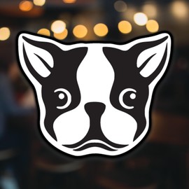 Cute Boston Terrier Dog Vinyl Decal Sticker | Cars Trucks Vans SUVs Windows Walls Cups Laptops | White | 5.5 Inch | KCD2431