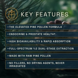 RAW Forest Foods Forest Prana Pine Pollen and Nettle Root Elixir Tincture – 4 Fl Ounce Bottle