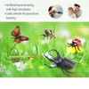 Bug Toys Figurines VOLNAU 12PCS Insect Animal Figures for Kids