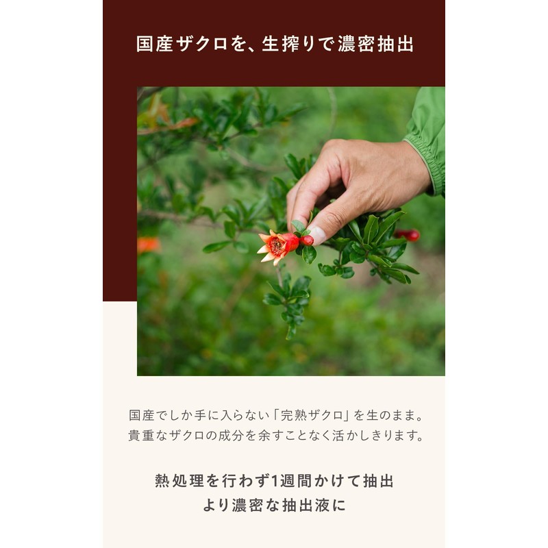 N organic Plenum Deep Hold Cream, Night Care, 1.6 oz