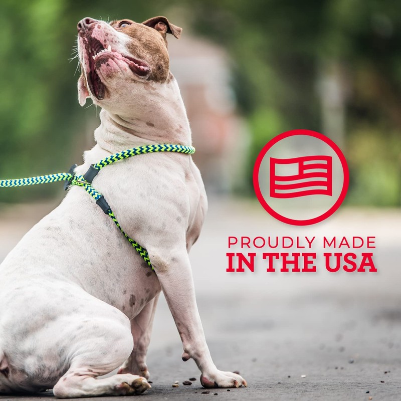 Harness Lead No Pull Dog Harness and Leash Set, Anti
