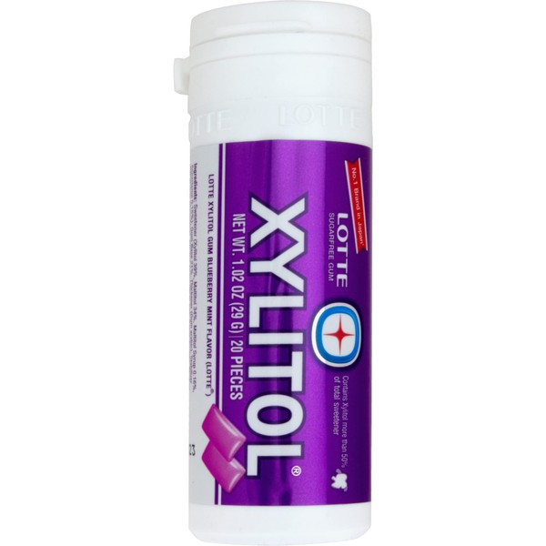 Lotte Xylitol Blueberry Mint Gum 1.02 OZ (Pack of 1)
