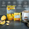 Ahmad Tea Sachet Infusion Foil-Enveloped Teabags, Lemon and Ginger, 20
