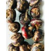 Unbranded Fresh Live Chinese Water Chestnut Bulbs Eleocharis Dulcis Ready