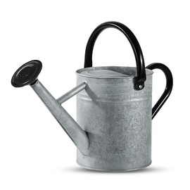 1 Gallon Watering Can for Plants, Watering Cans for Indoor&Outdoor Gardening, Galvanized Steel Watering Pot with Removable Spout, Metal Water Can with Ergonomic Movable Handle(Rustic Silver)