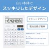 Canon HS-1201T 12-column Large Desk Calculator, Antibacterial, Flat Design