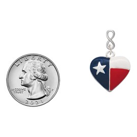 Delight Jewelry Silvertone Texas Lone Star Heart Silvertone Infinity Post Earrings