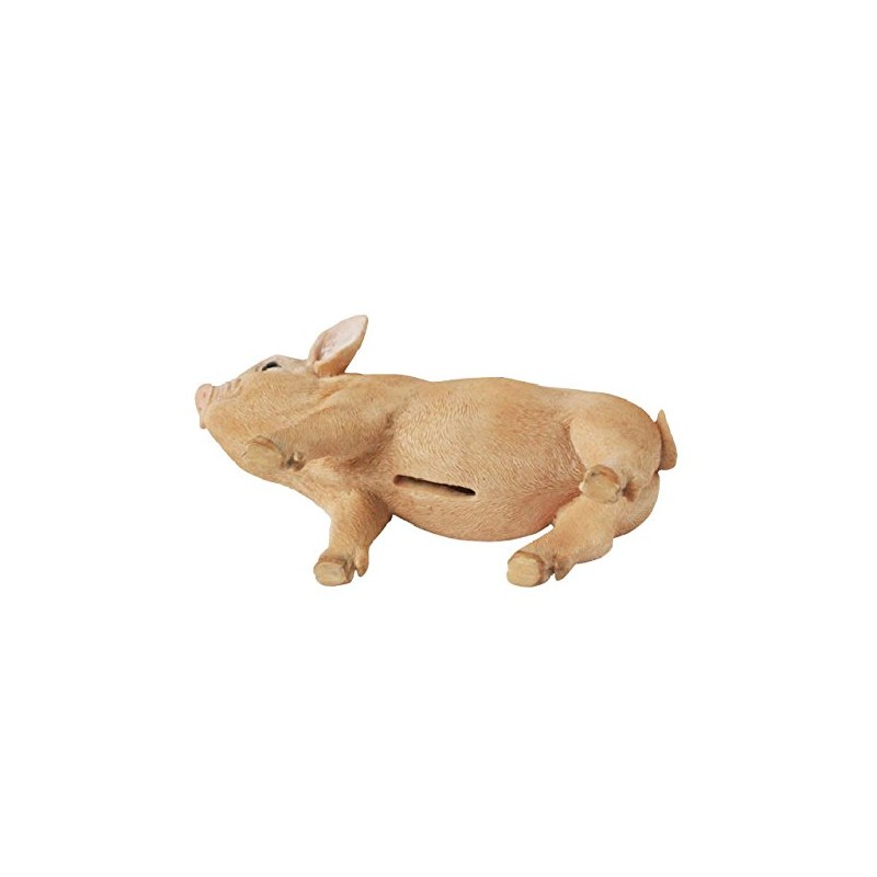 Piggy Bank Pet Bank Indian Star Tortoise 1168 